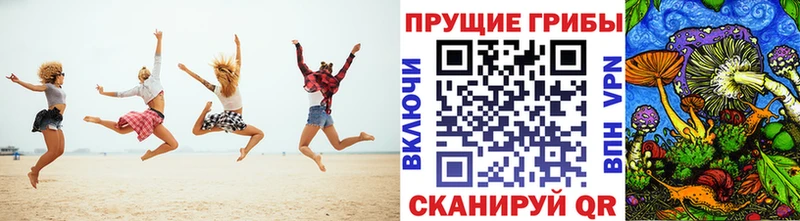 даркнет сайт Павловская мега как зайти Галлюциногенные грибы мухоморы