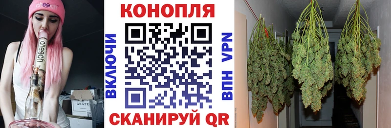 Марихуана SATIVA & INDICA Павловская